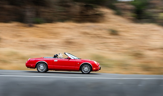 Which insurance is best for car in USA