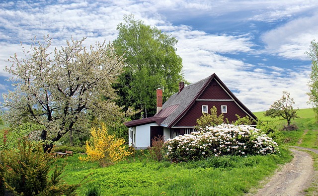 Do Americans insure their homes